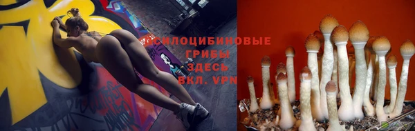 mdpv Вяземский