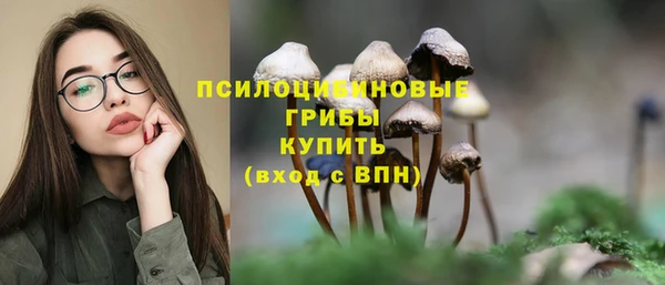 марки lsd Горно-Алтайск