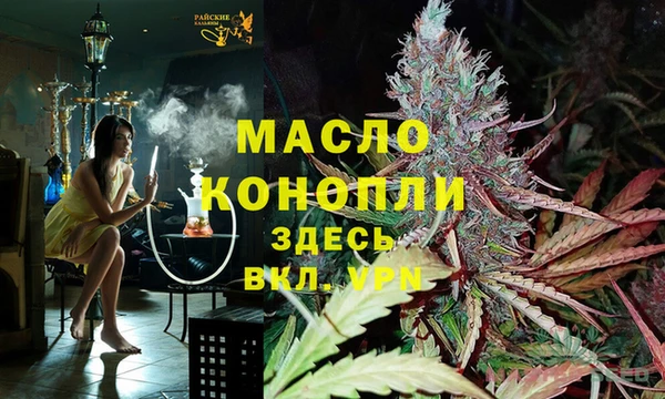 сатива Вязники