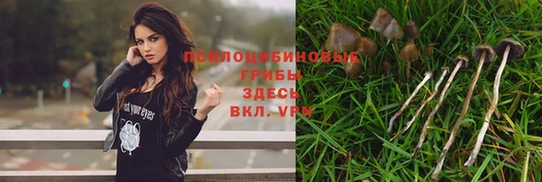 альфа пвп Горняк